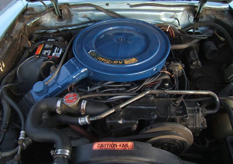 1975 Mustang 302 engine
