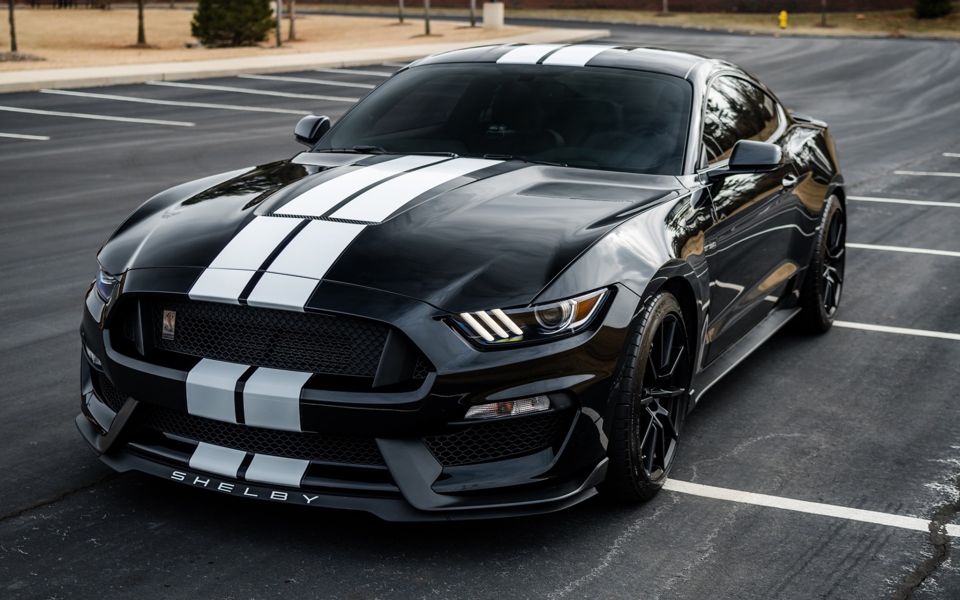 Black Mustang Color Options