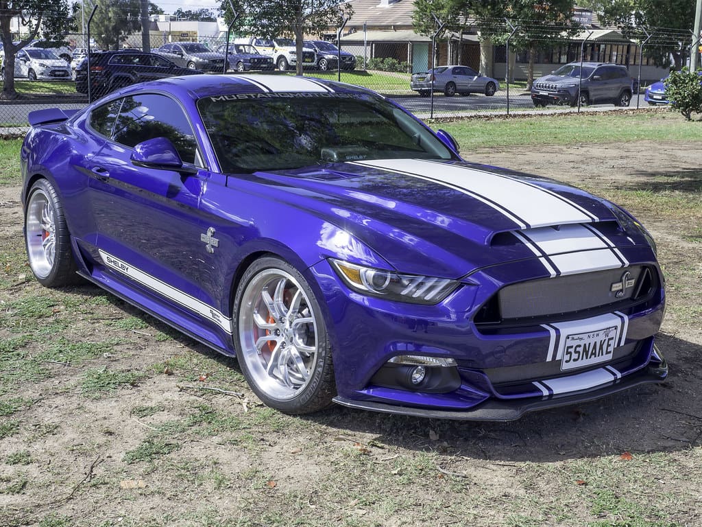 2016 Super Snake